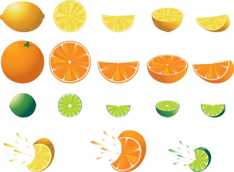 free vector Free Citrus Fruit Vector